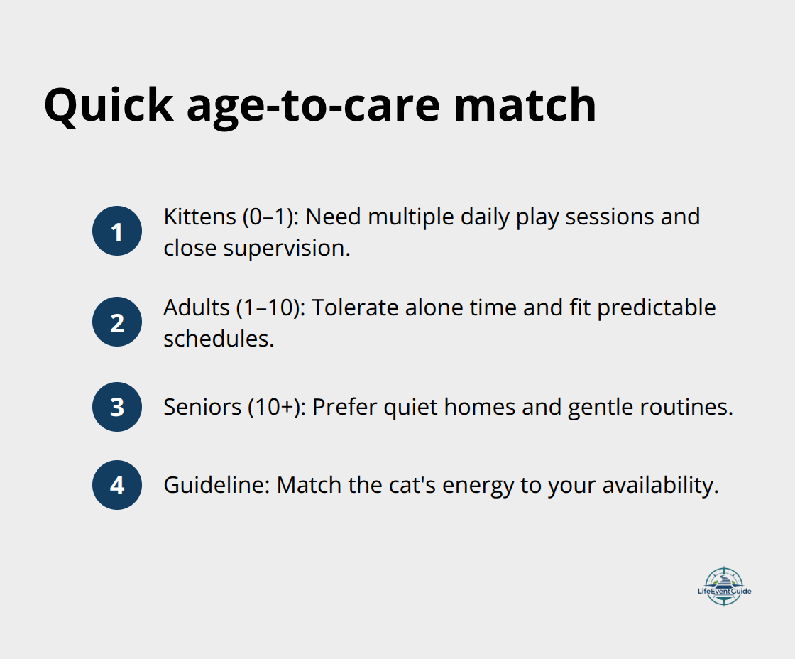 Age groups and care needs for cats in U.S. homes - cat adoption considerations