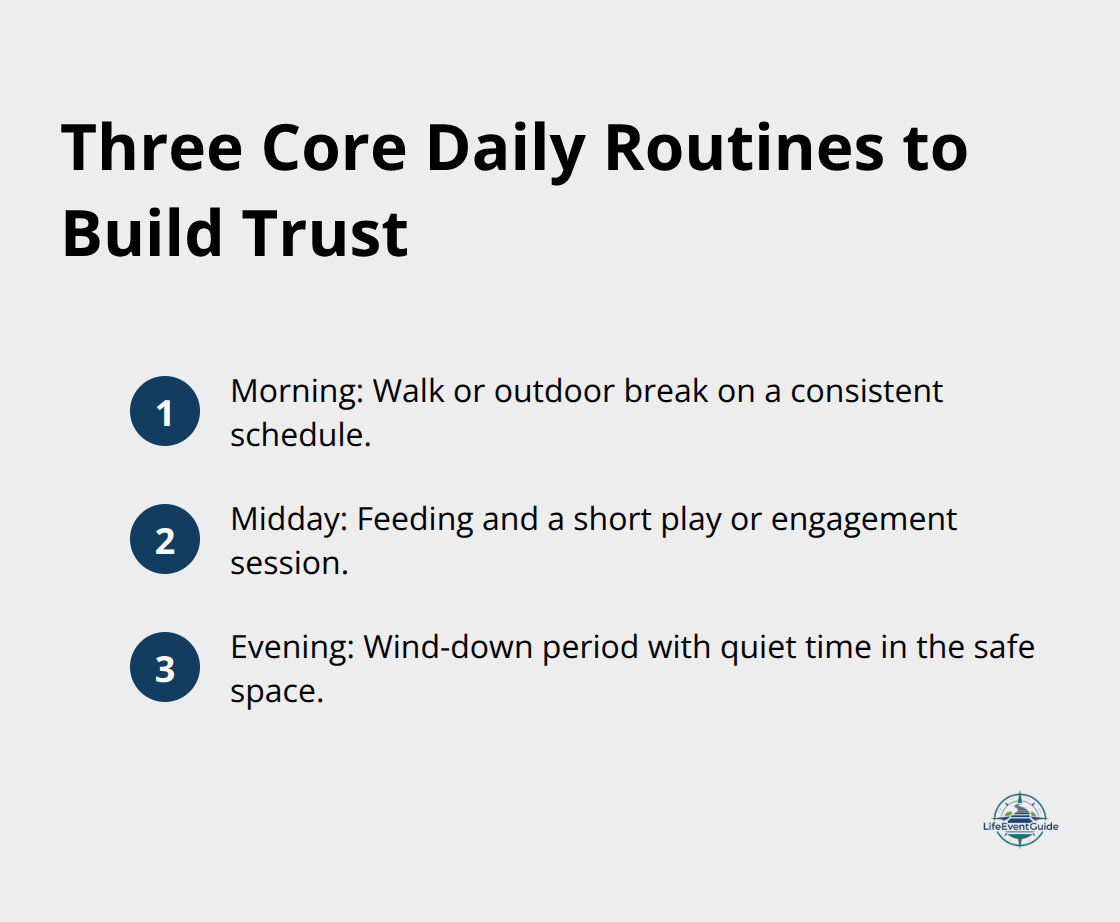 Compact ordered list of the three daily routines that strengthen trust - introducing pet to home