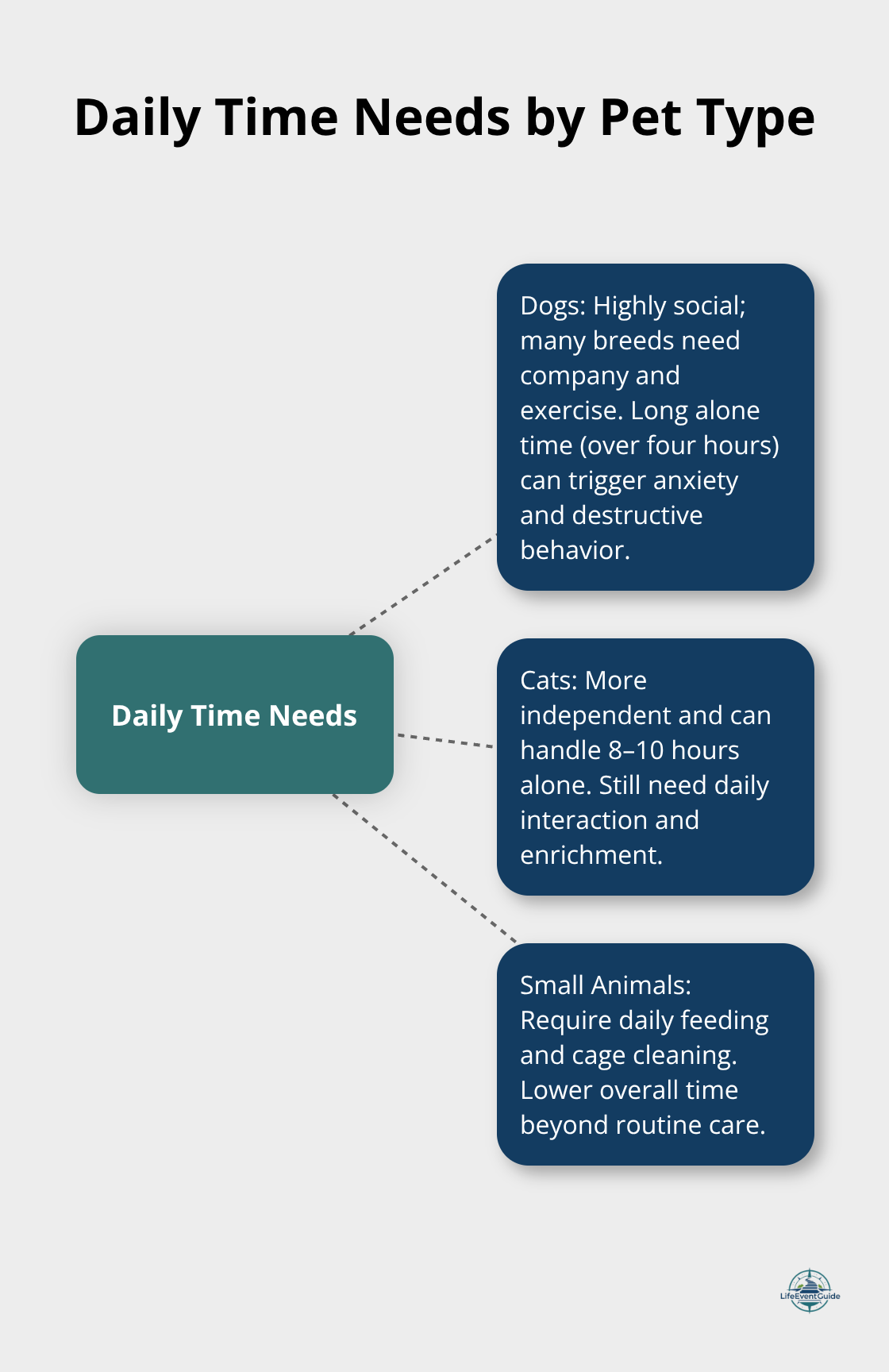 Visualization of daily time requirements for dogs, cats, and small animals - pet suitability checklist