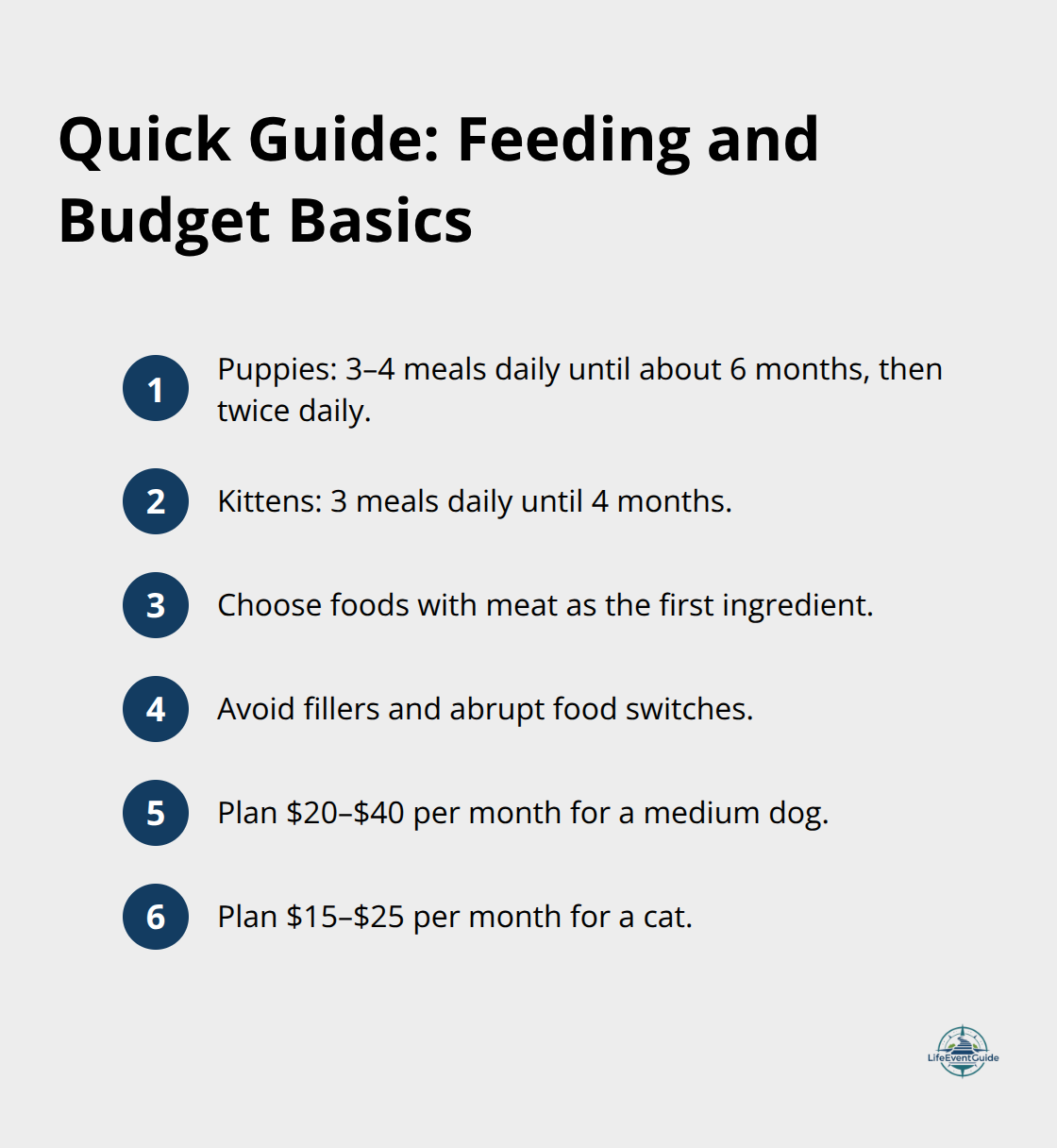 Compact checklist of feeding frequency by age and monthly food budget ranges for dogs and cats