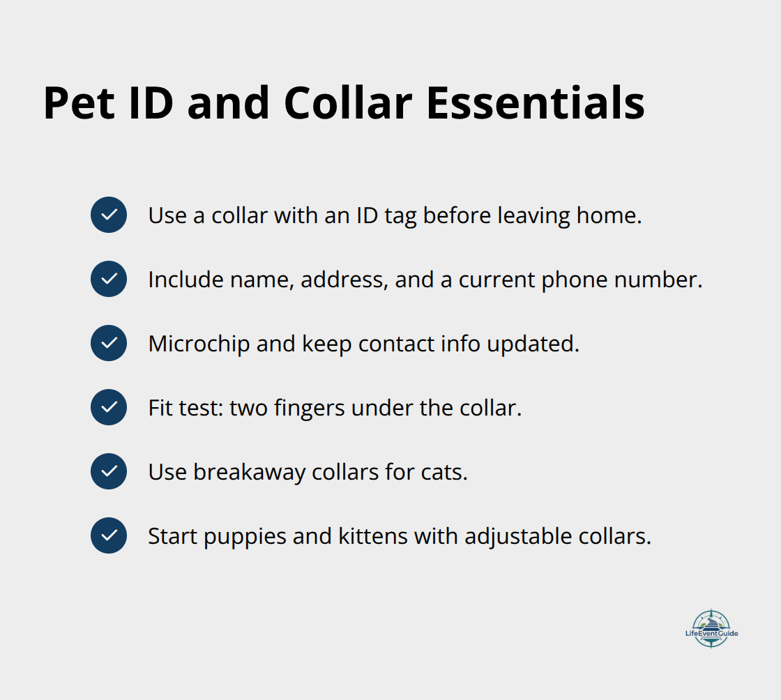 Checkmarked list of identification and collar best practices for dogs and cats - pet supplies checklist
